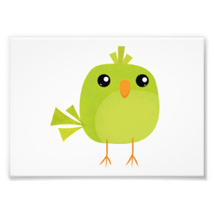 Green Bird Cartoon Fotodruck
