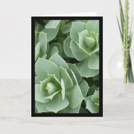 Green Blooms - Chanson de Sol. Carte de voeux 8:7
