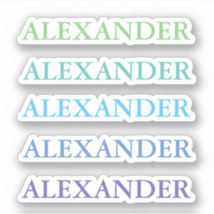 Green Blue Name Clear Back to School Aufkleber