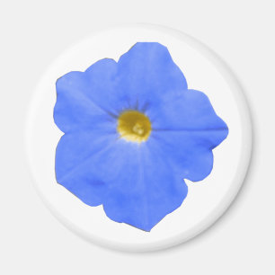 Green Blue und Yellow Petunia Magnet