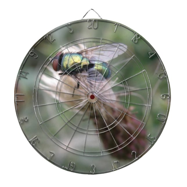 Green Bottle Fly Macro Dart Board Dartscheibe (vorne)