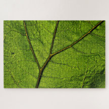 Green Butterbur Leaf