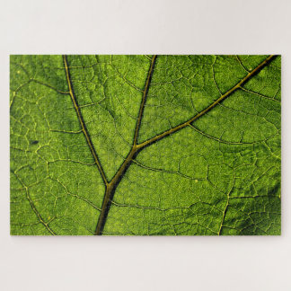 Green Butterbur Leaf