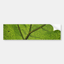 Green Butterbur Leaf Autoaufkleber