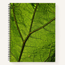 Green Butterbur Leaf Notizbuch