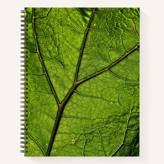 Green Butterbur Leaf Notizbuch (Vorderseite)
