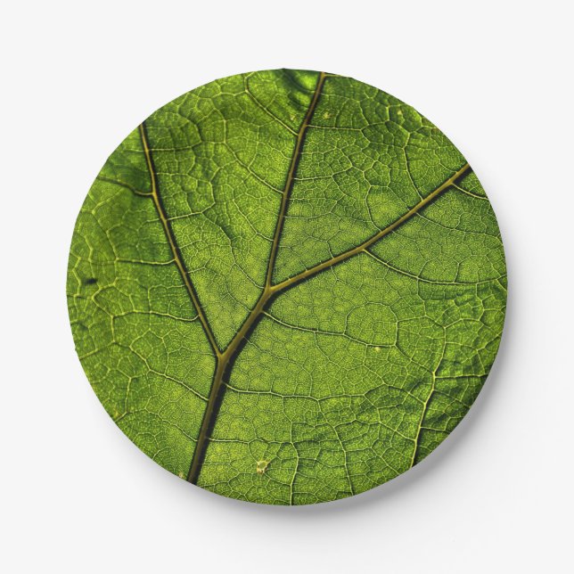 Green Butterbur Leaf Pappteller (Vorderseite)