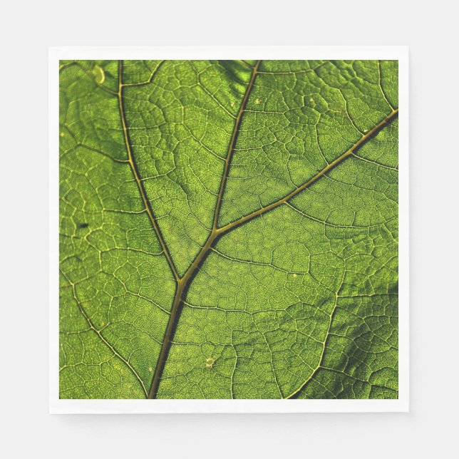 Green Butterbur Leaf Serviette (Vorderseite)