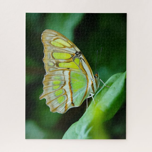 Green Butterfly Jigsaw Puzzle (Vertikal)