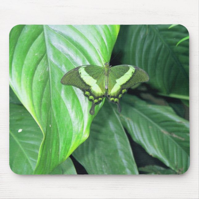 Green Butterfly Mousepad (Vorne)