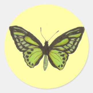 Green Butterfly Sticker