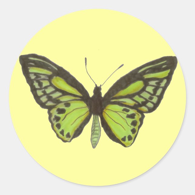 Green Butterfly Sticker (Vorderseite)