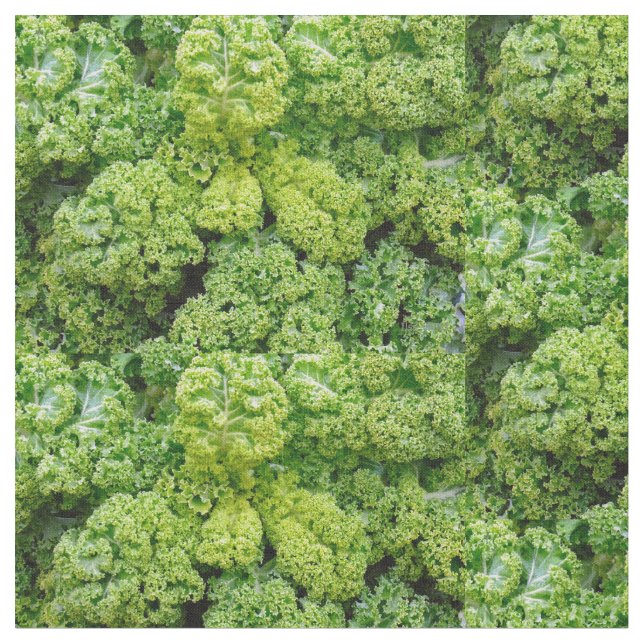 Green cabbage stoff (Nahaufnahme)