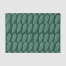 Green Cactus Pflanze