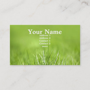 Green Card Visitenkarte