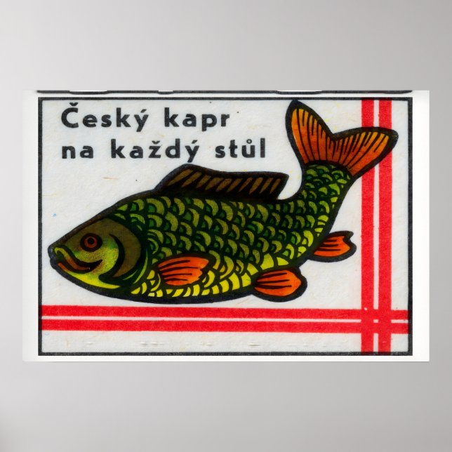 Green Carp Fish - Matchbox Print - Czech Wall Art Poster (Vorne)