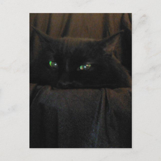 Green Cat Eyes Postcard Postkarte (Vorderseite)