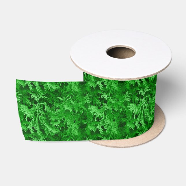 Green Cedar Satin Ribbon Satinband (Spule)