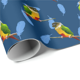 Green Cheek Conure Blue Feathers Pet Bird Geburtst Geschenkpapier