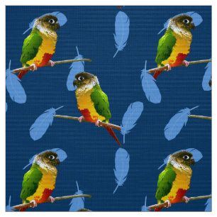 Green Cheek Conure Parakeet Fun Bird Blue Feathers Stoff