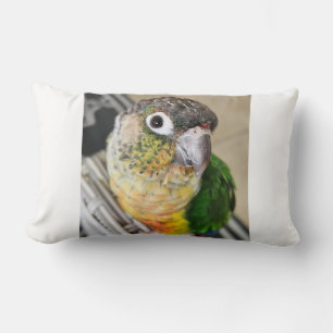 Green Cheek Conure Parrot Lendenkissen