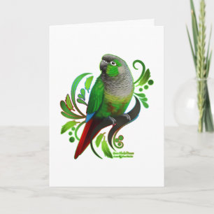 Green Cheeked Conure Karte