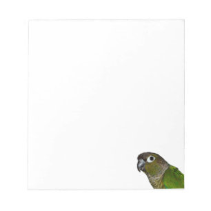 Green Cheeked Conure Notizblock
