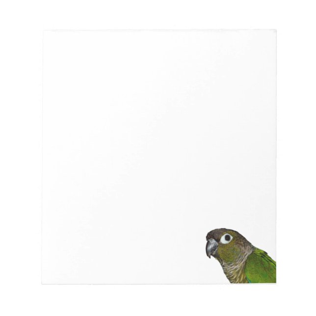 Green Cheeked Conure Notizblock (Vorderseite)