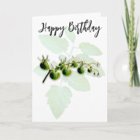 GREEN CHERRY TOMATO FOTO BIRTHDAY CARD