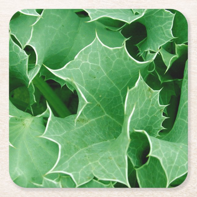 Green Christmas Holly Rechteckiger Pappuntersetzer (Vorderseite)