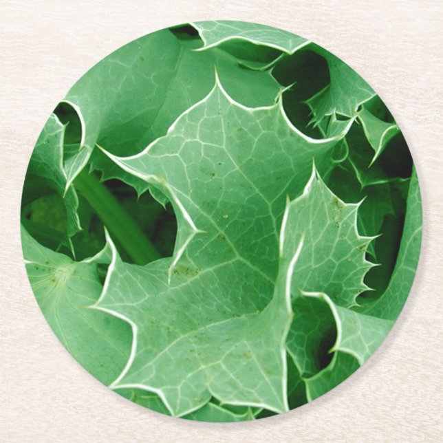 Green Christmas Holly Runder Pappuntersetzer (Vorderseite)