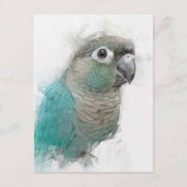 Green Conure Postcard Nr. 3 Postkarte (Vorderseite)
