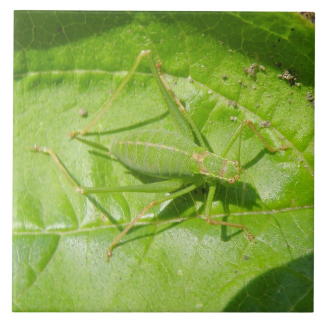 Green Cricket Camouflage Tile Fliese (Vorderseite)