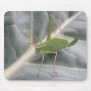Green Cricket Macro Mousepad