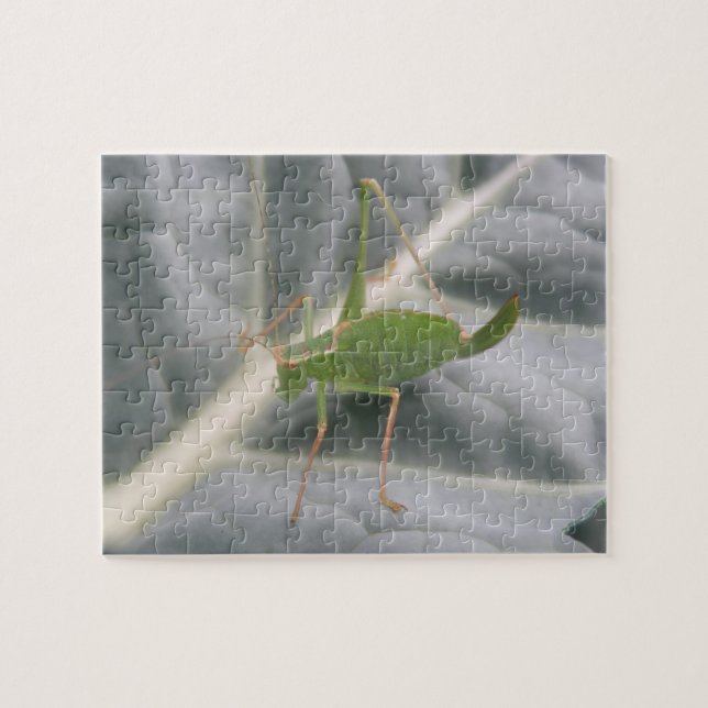 Green Cricket Macro Puzzle (Horizontal)