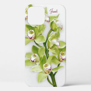 Green Cymbidium Orchid Floral iPhone 6 Fall title_seo2