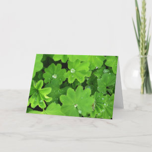 Green Dewdrops Card Karte