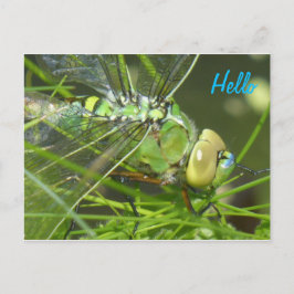 Green Dragonfly HELLO Postkarte