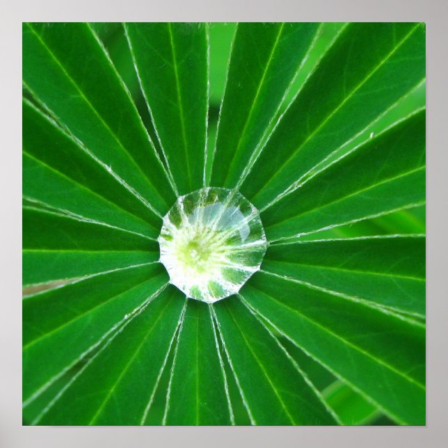 Green Energy Poster Print (Vorne)