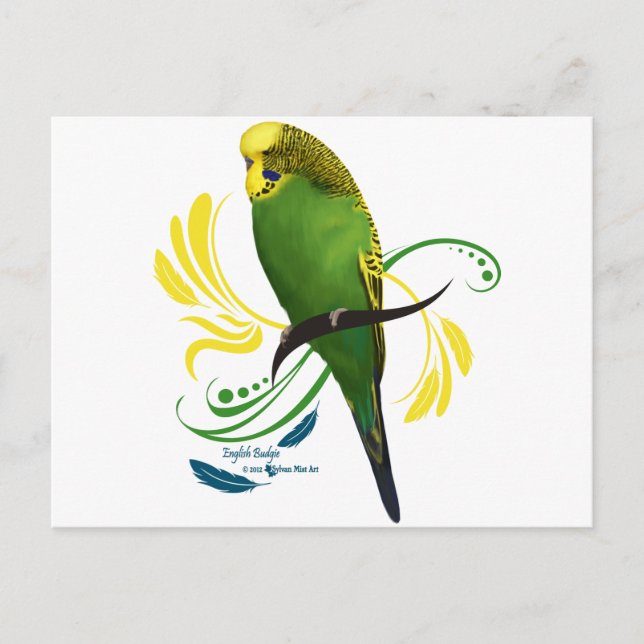 Green English Budgie Postkarte (Vorderseite)