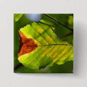 Green Fall Leaf Button