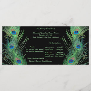 Green Feathers with Black Wedding Program Programm