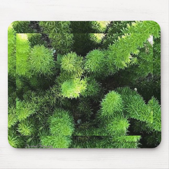 Green Fern Mouse Pad Mousepad (Vorne)