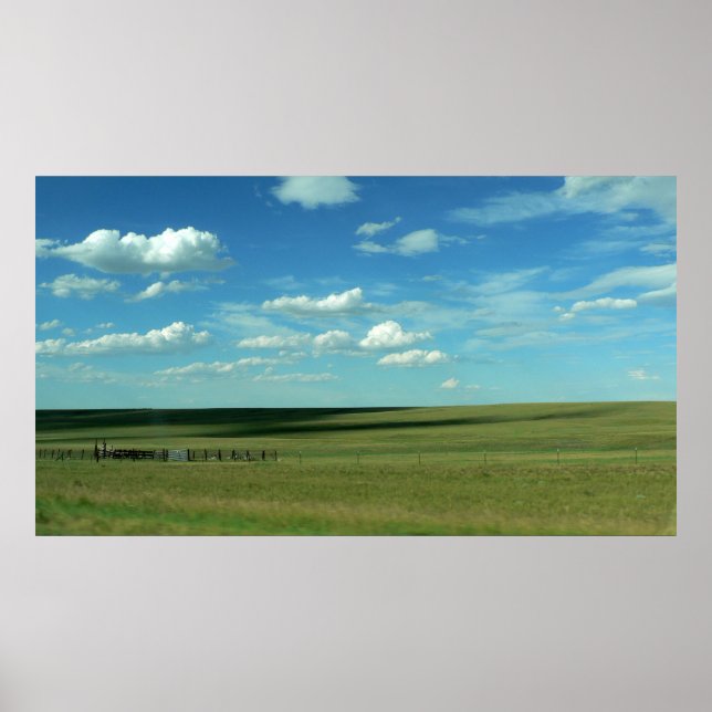 Green Field and Cloudy Blue Sky, Colorado Poster (Vorne)