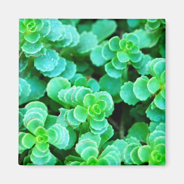 Green Floral Abstrakt Magnet (Vorne)