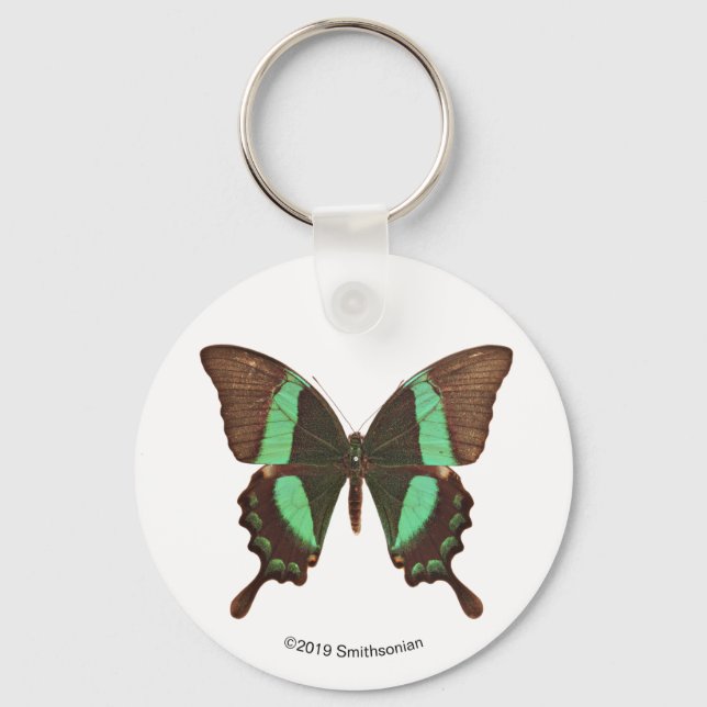 Green Frack Butterfly Schlüsselanhänger (Vorderseite)