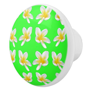 Green Frangipani Delight, Keramik Zeichnete Knob. Keramikknauf