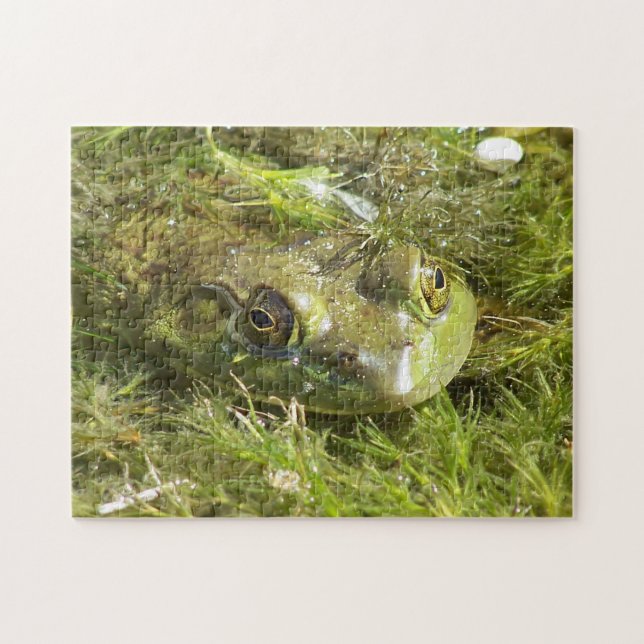 Green Frog Puzzle (Horizontal)