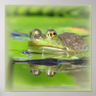 Green Frosch Print Poster