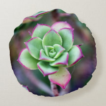 Green & Fuchsia Plante Succulent Coussin Rond